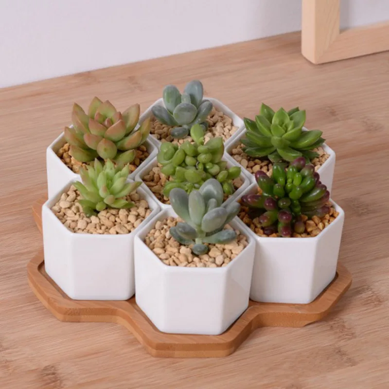 Set of 4/7/9/10 Hexagon Flower - Desk Setup White ulasan dan harga