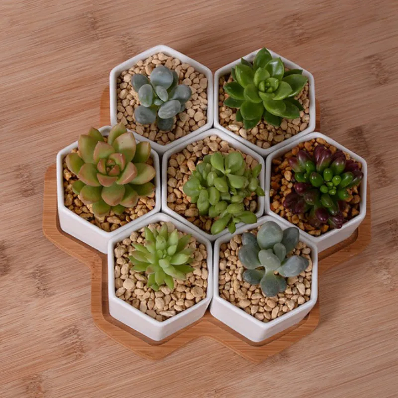 Set of 4/7/9/10 Hexagon Flower - Desk Setup White ulasan dan harga