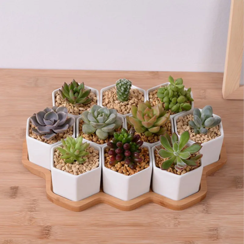 Set of 4/7/9/10 Hexagon Flower - Desk Setup White ulasan dan harga